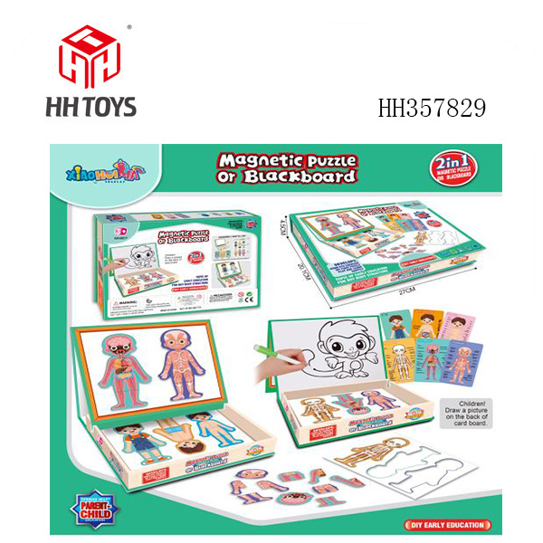 Puzzle of Puzzle Magnetic DIY
(Boy's body structure)“