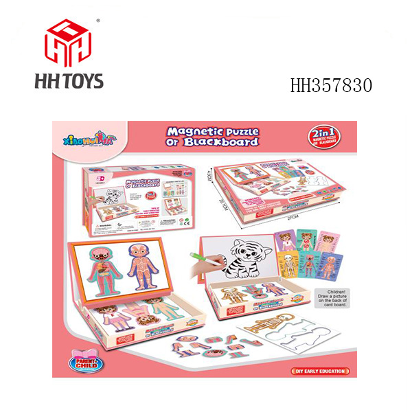 Puzzle of Puzzle Magnetic DIY
(Girl's body structure)“